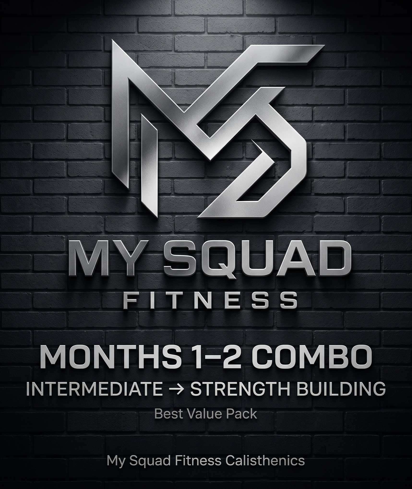 My Squad Fitness Calisthenics Program (COMBO) — Level One Intermediate + Level Two Strength Building